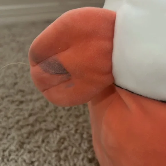 clownfish squishmallow - Picture 5 of 6